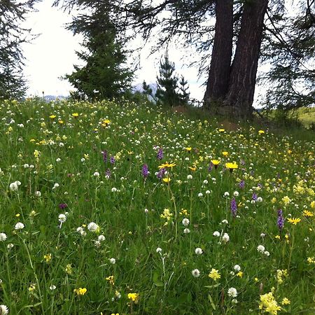 Ciasa Wallis Badia  Bagian luar foto